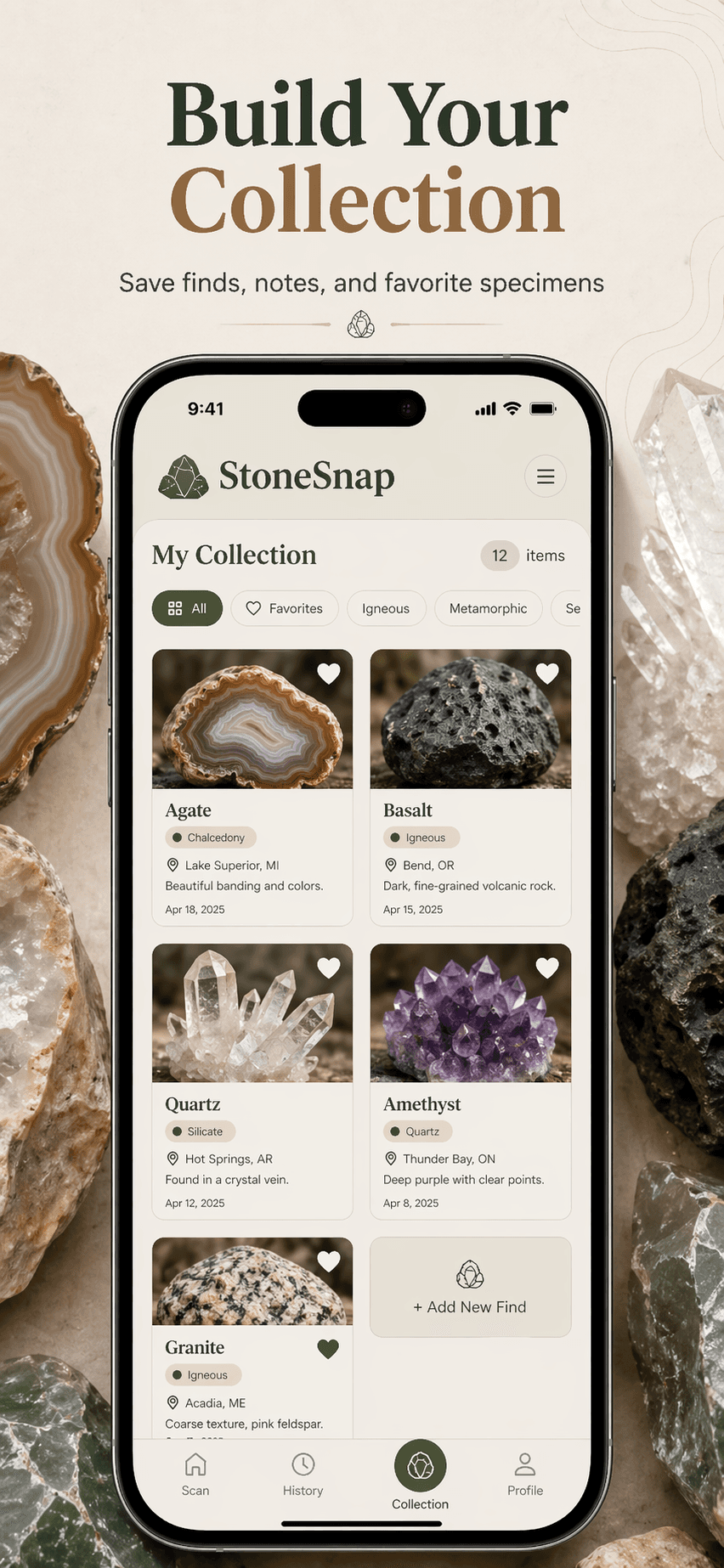 StoneSnap app screenshot
