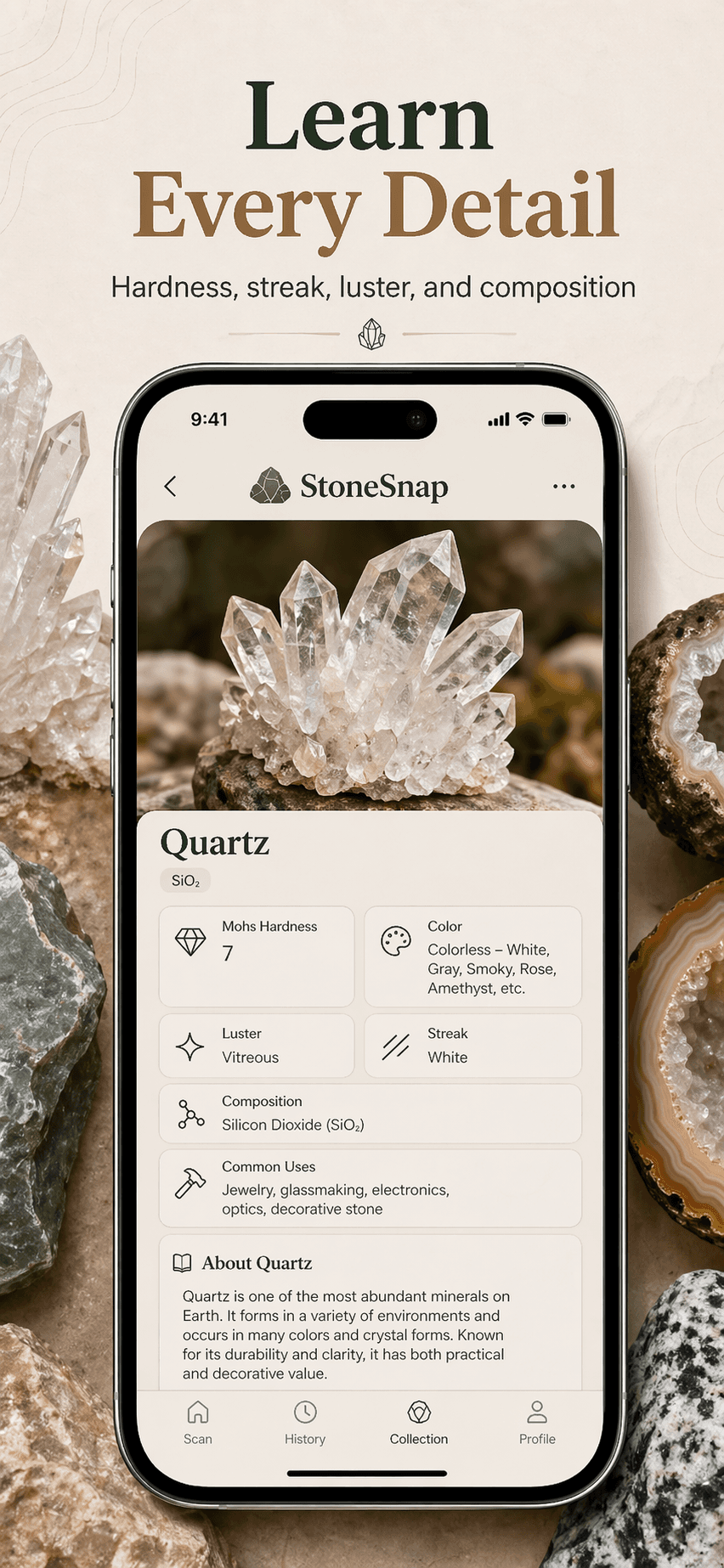 StoneSnap rock detail screen